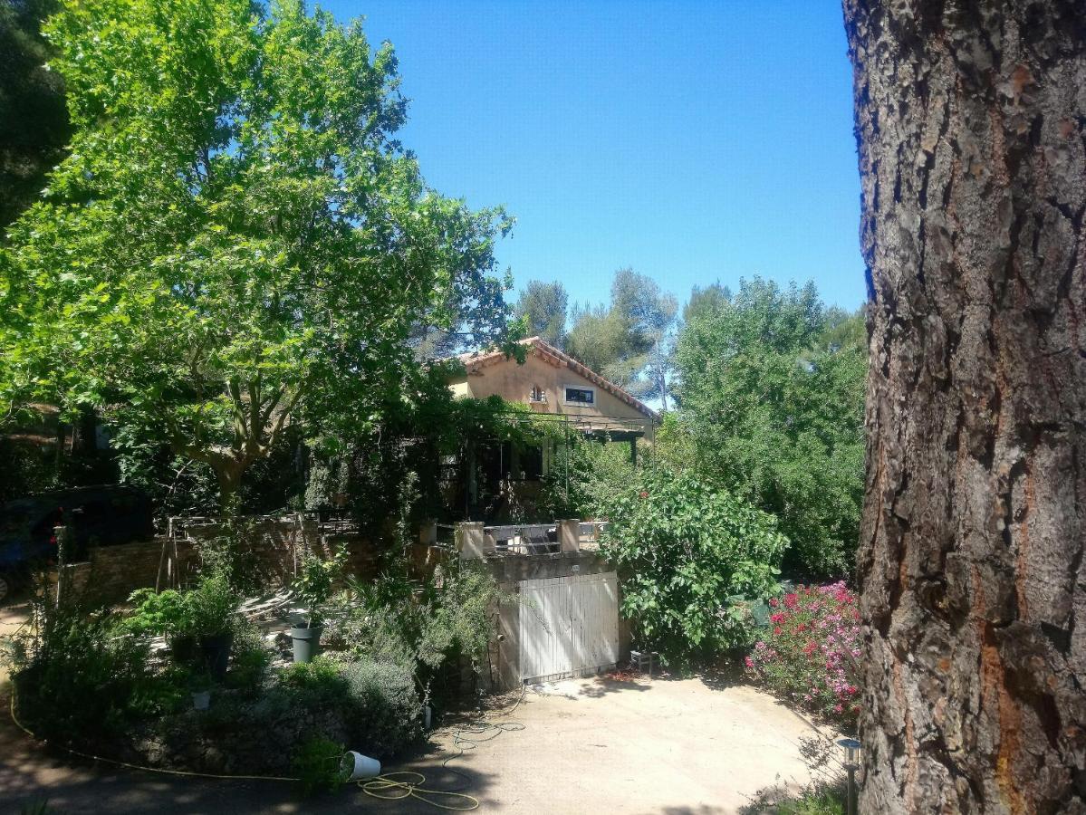 Maison De Charme Avec Piscine Et Jacuzzi Dans Cadre Exceptionnel Proche Marseille Mirabeau 외부 사진
